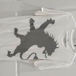 Mens Express T shirt